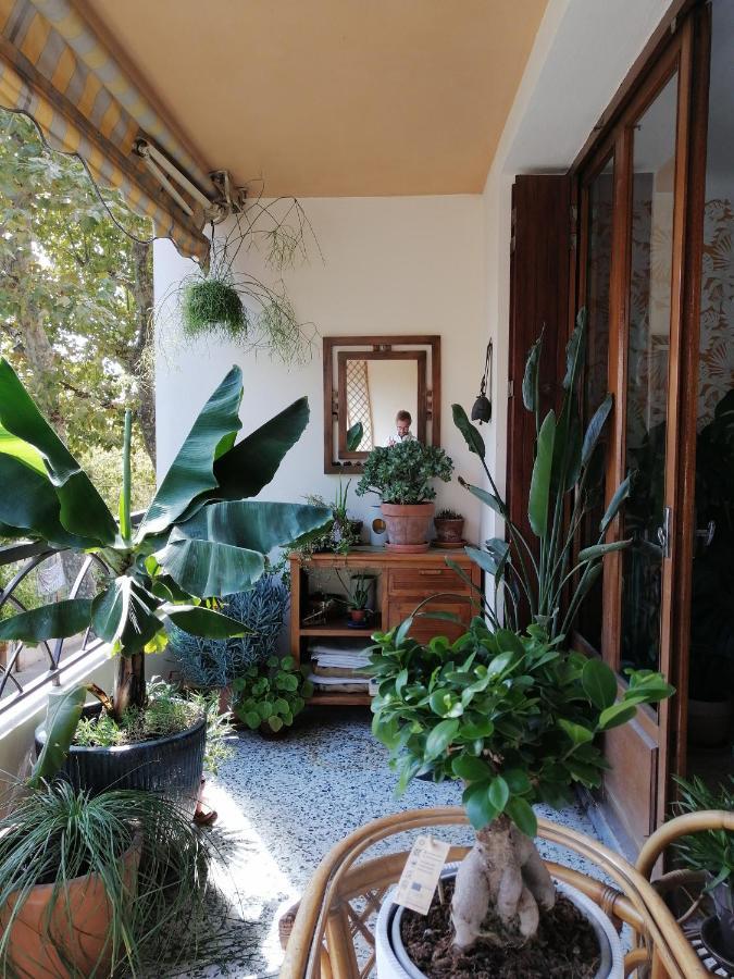 Chambre Chez L'Habitant - L'Estaque Marseilles